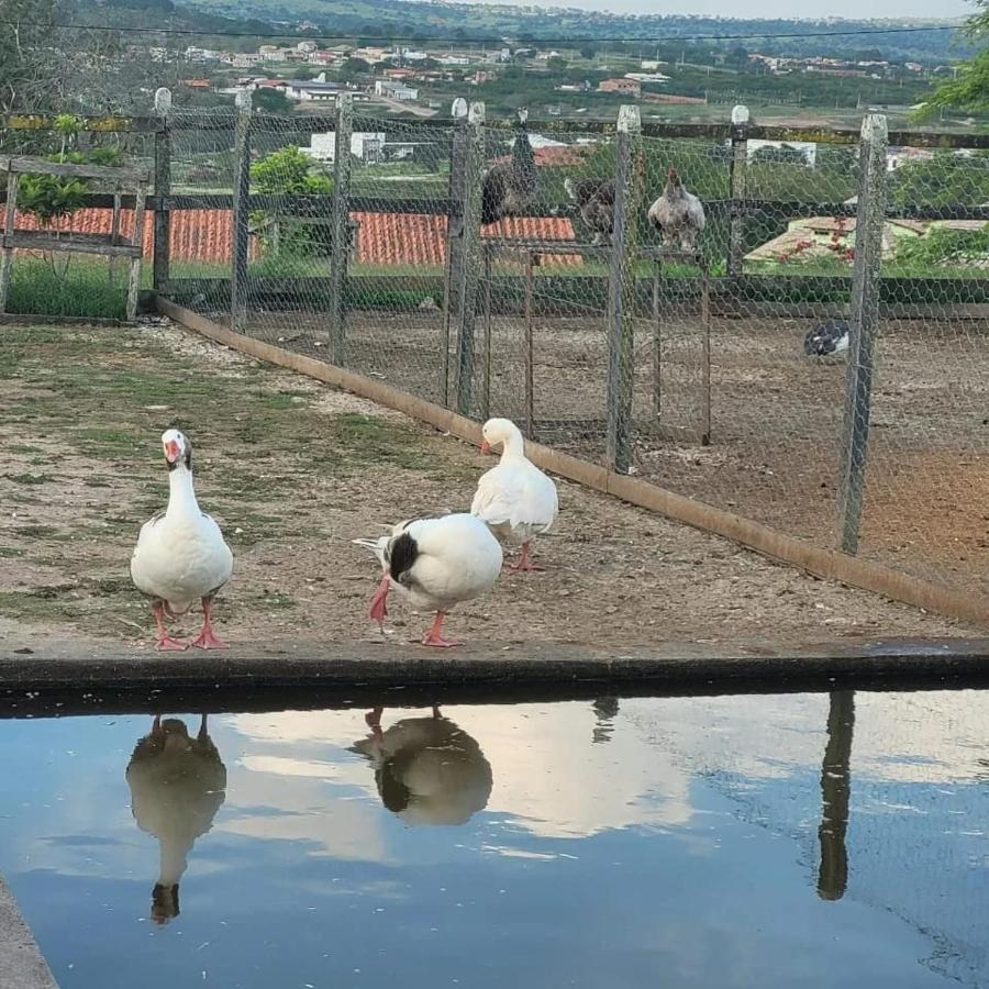 Monte Castelo Gravata Flat Encantador Εξωτερικό φωτογραφία